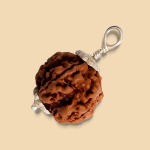 5 Mukhi Rudraksha