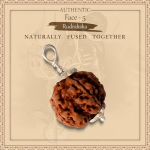 5 Mukhi Rudraksha