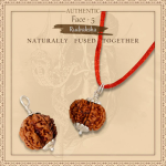 5 Mukhi Rudraksha