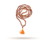 6 Mukhi Rudraksha Mala