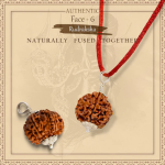 6 Mukhi Rudraksha