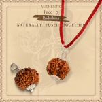 7 Mukhi Rudraksha