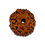 9 Mukhi Rudraksha