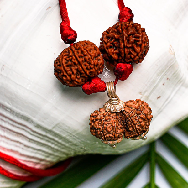 Prem Vriddhi Mala/Bracelet - 6 Mukhi, 7 Mukhi and Gauri Shankar Rudraksha ( AB )