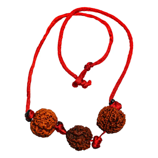 Vidya Vriddhi Mala / Bracelet - 4 Mukhi and 5 Mukhi Rudraksha