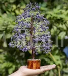 Amethyst Crystal Tree of Life - Wisdom & Serenity