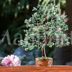 Green Aventurine Gemstone Tree - Feng Shui Prosperity