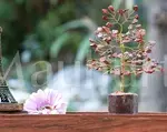 Red Jasper Crystal Tree of Life - Healing Energy Tree